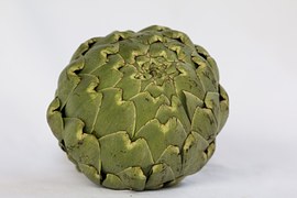 Artichoke - OP Agritalia SOC