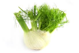 Fennel - OP Natura Societa Coopertiva Agricola