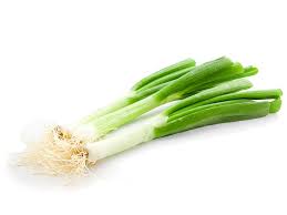 Leek - Tabuenca SA