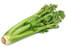 Celery - Tabuenca SA