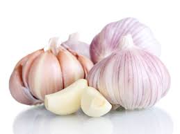 Garlic - PLANTAS DE NAVARRA, S.A. (PLANASA)