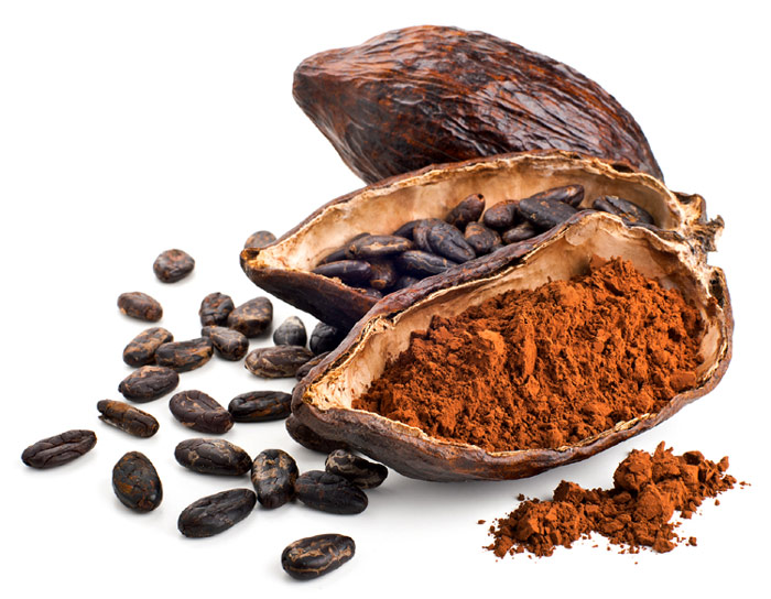 Cocoa Powder - DYNAMIC INTERMEDIATE INVESTORS & CONSULTANS,C.A.