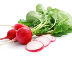  Radish - XalteProduce