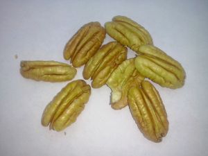 Nut Pecan - Integradora de Productores de Nuez de la Región de Nazas SA de CV