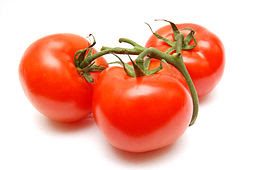 Tomato - Agro Red & Green S.L