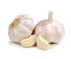 Garlic - Amplus Sp. z o. o