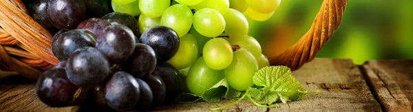 Grape - Borquez Export Incorporation S.A. de C.V