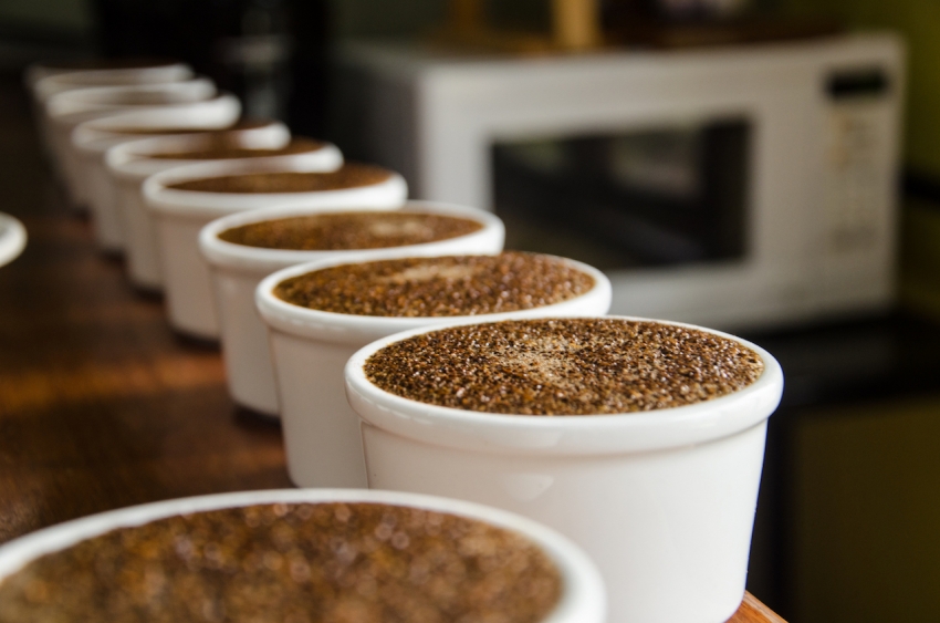 Coffee - Coopelibertad R. L. Turrialba