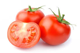 Tomate - Flandria
