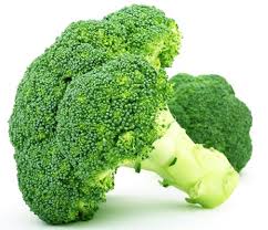 Broccoli - Alimer S Coop