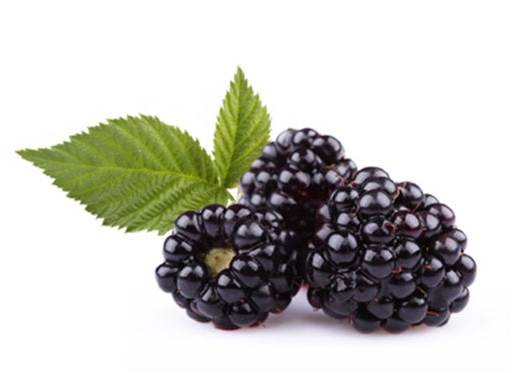 Blackberry - GREEK AND FRESH