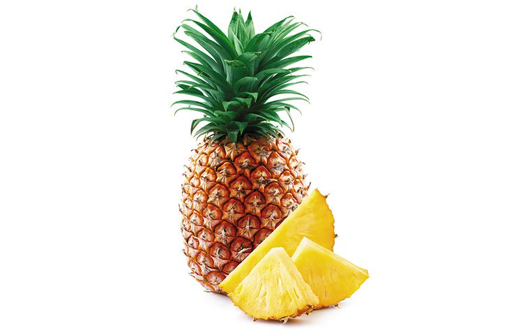 Pina en Isabella Fruit Company S.A de Costa Rica ppfam