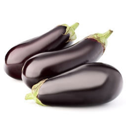 Eggplant - LGV-Frischgemüse Wien reg. Gen. m. b. H
