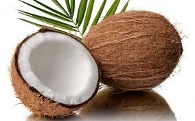  Coconut  - tlali nantli comercializa dora 