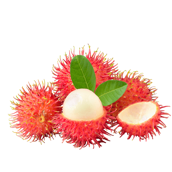 Rambutan - ANEPAAN O'DEPÜT S.P.R. DE R.L.