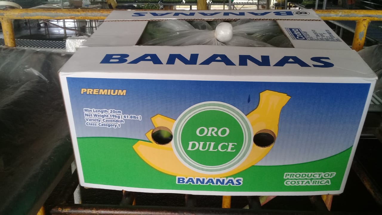 Banana - SMART SHIPPING & FRUIT SRL