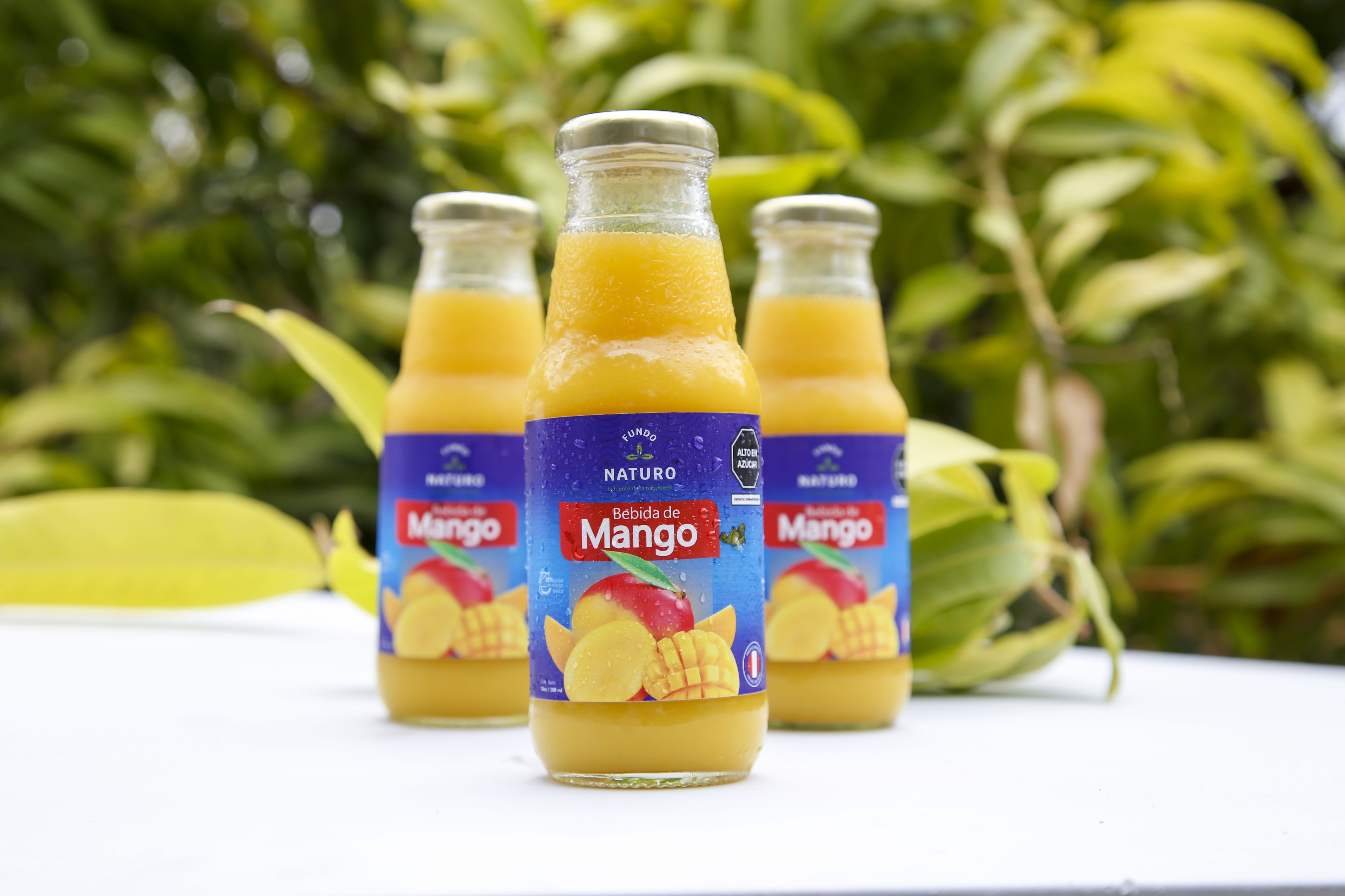 Mango juice - Fk Consultoria y Gestion