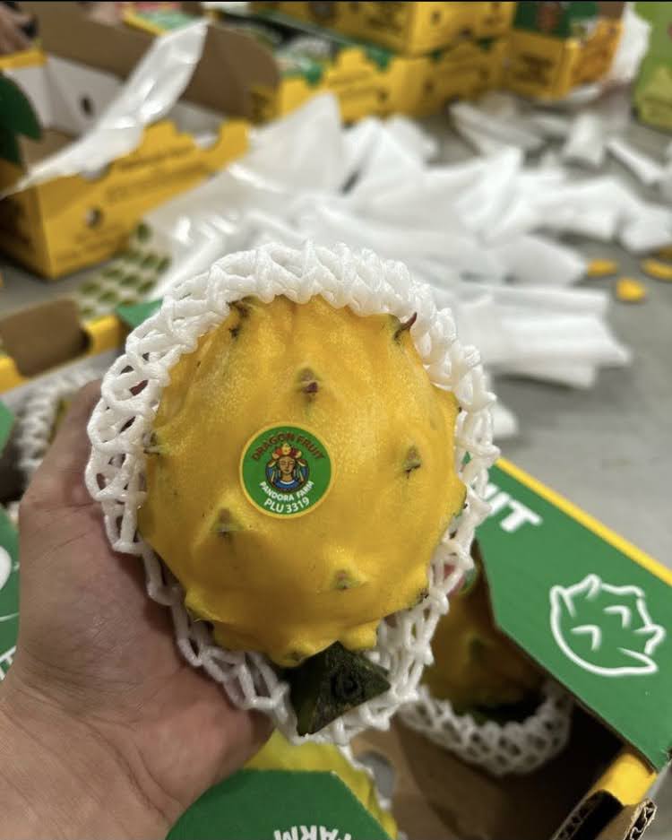 Fruta del Dragón   - Pandora Farm