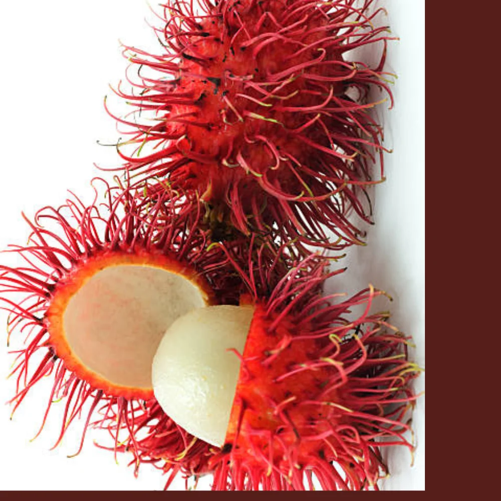 Rambutan - Finca Lourdes S.A de C.V