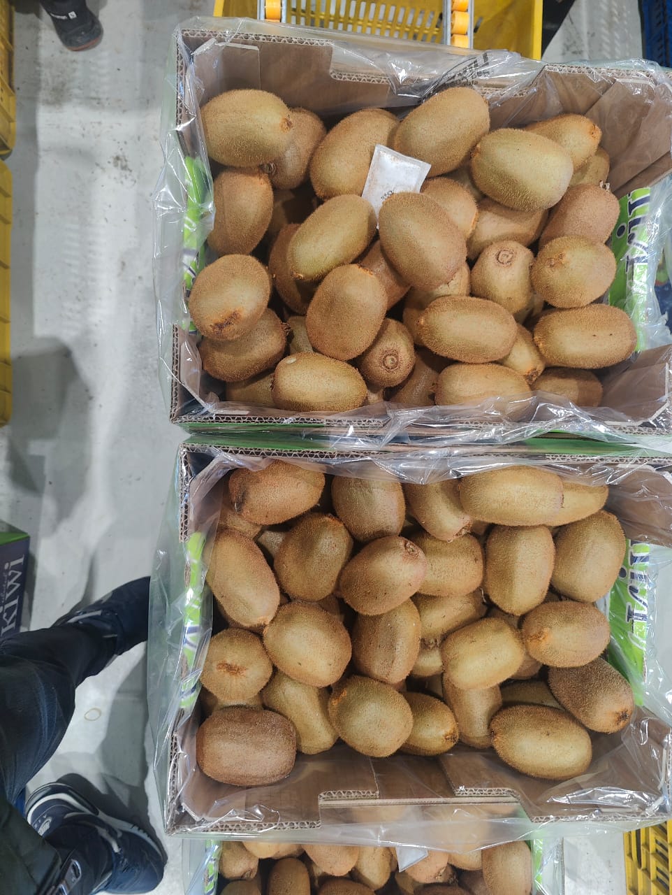 Kiwi - Olympus Fruits