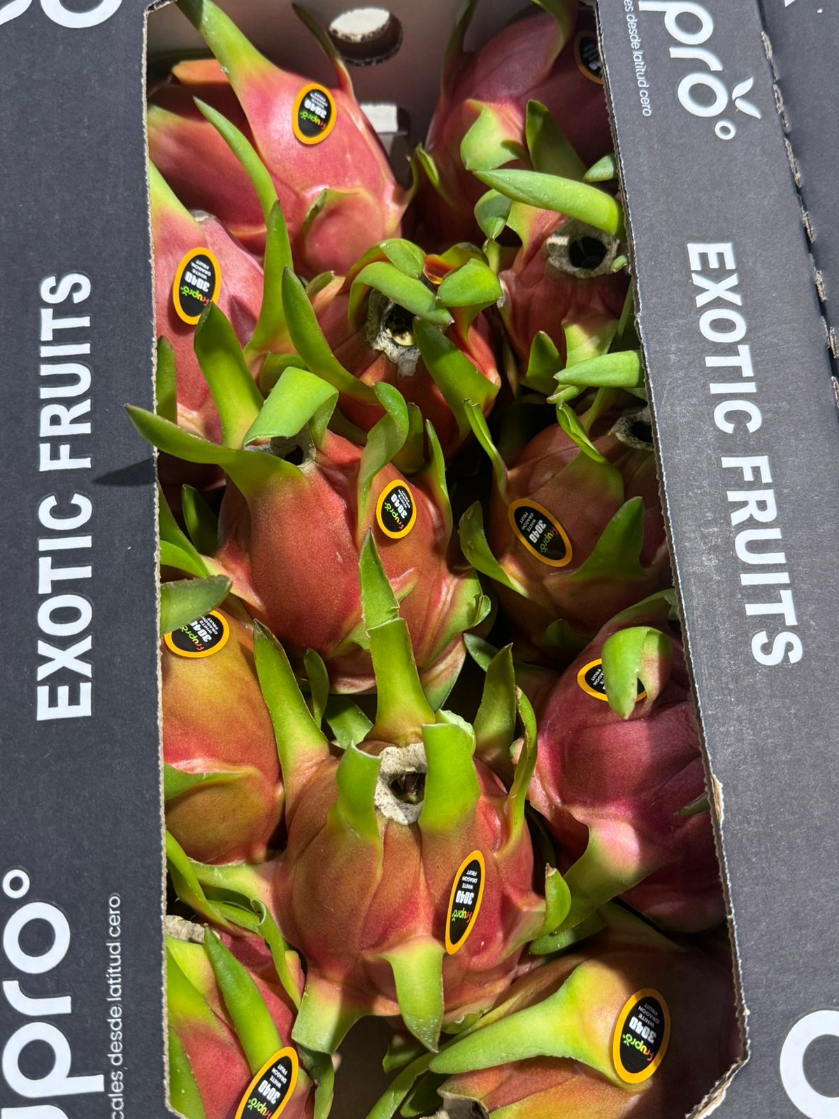 Fruta del Dragón  - Frupro SAS