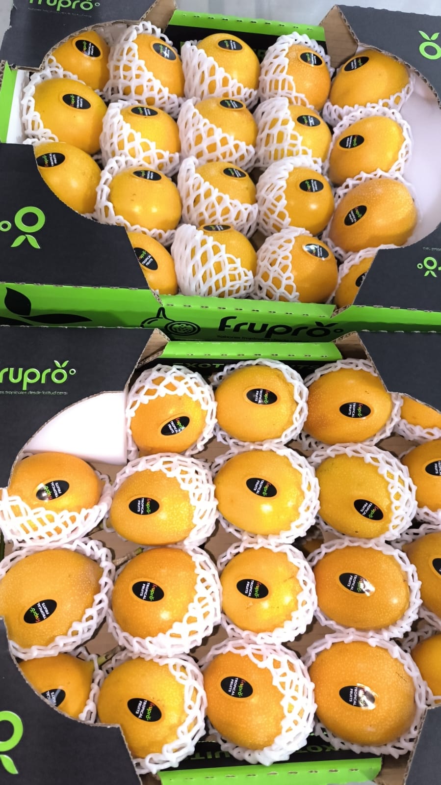 Granadilla - Frupro SAS