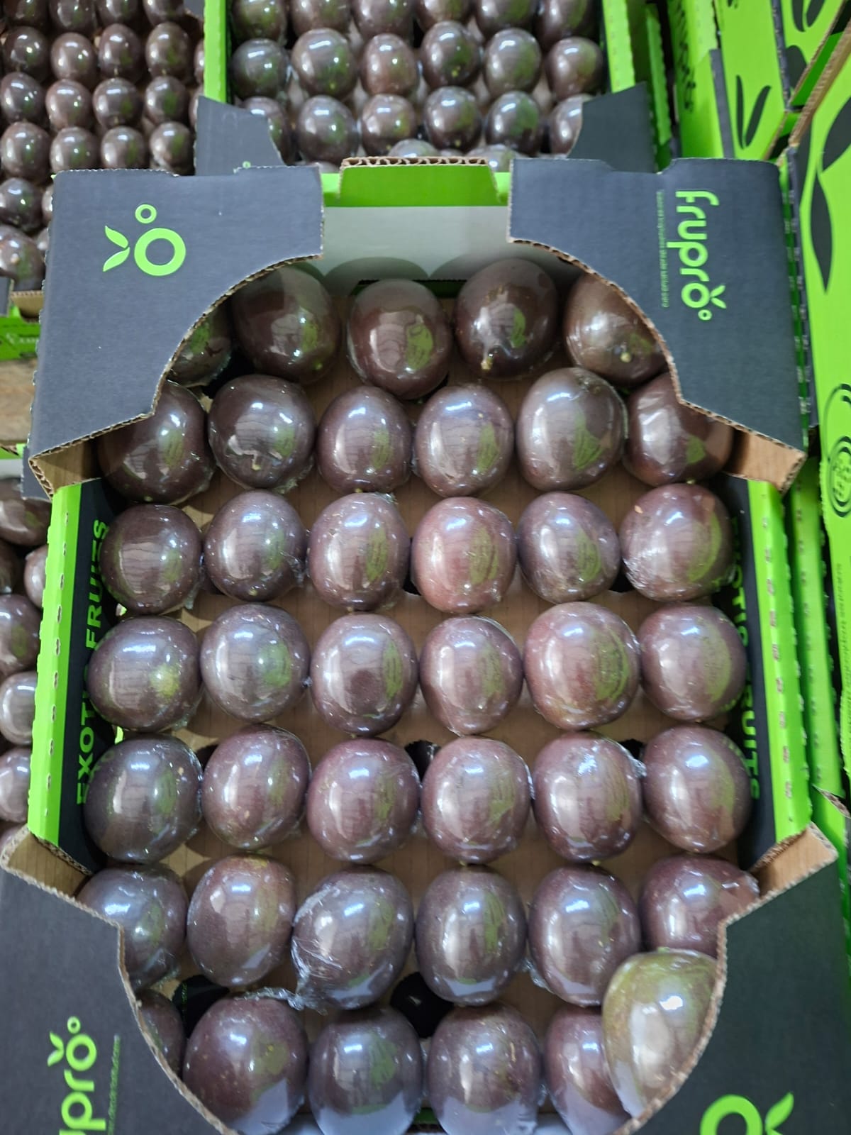 Passion Fruit - Frupro SAS