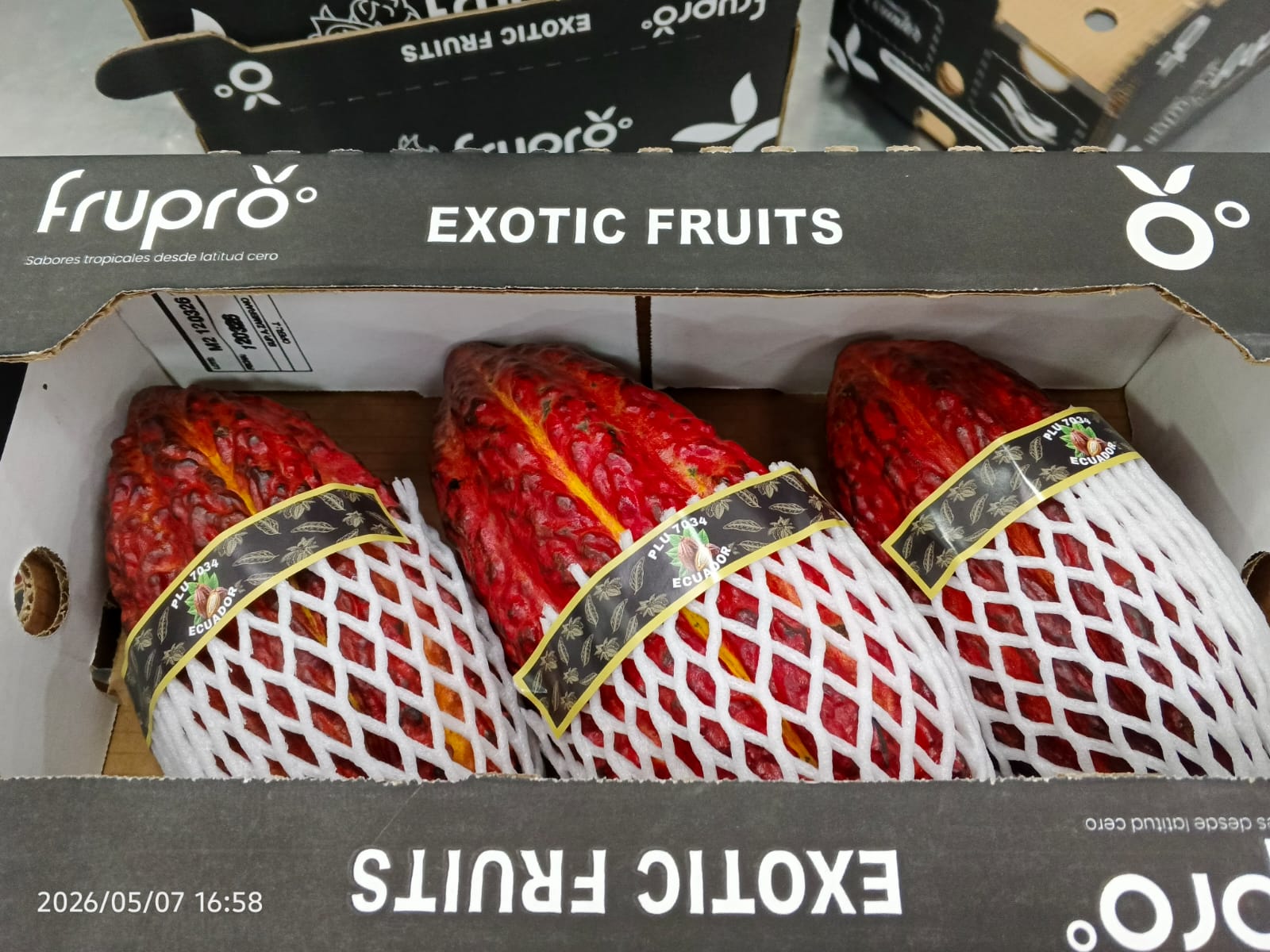 Cacao - Frupro SAS
