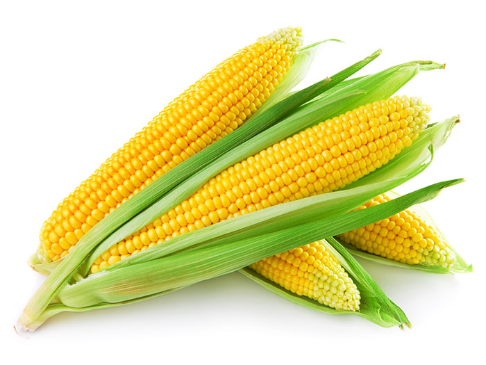 Corn  - AGROINDUSTRIAS NICARAGUENSES  DE ALIMENTACION, S.A (ANASA)