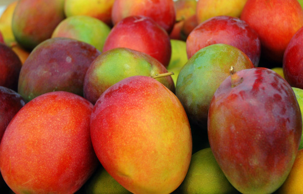 Mango - Comercializadora Continental de Productos Agropecuarios