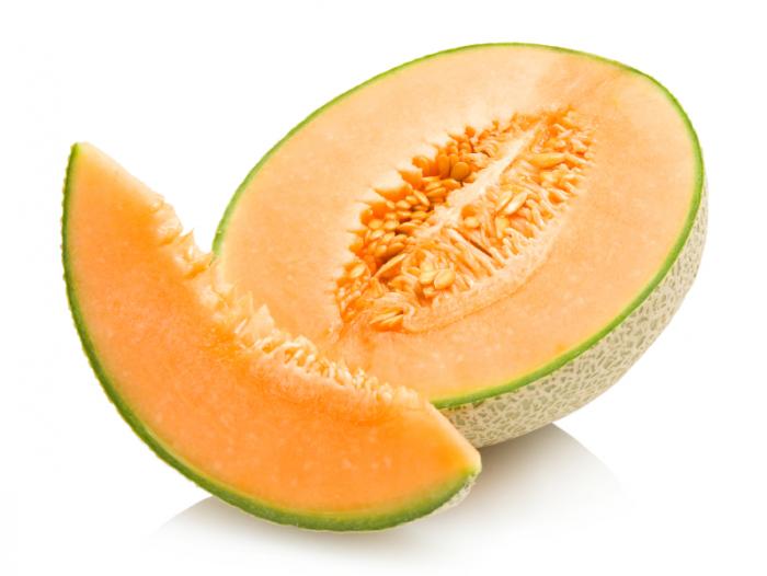 Melón - Consorcio Agroexportador San Roque, S.A