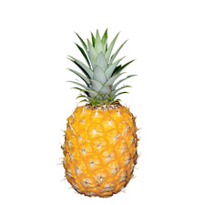 Piña - Calle Real Products Inc., S.A