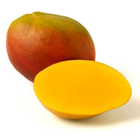 Mango - Calle Real Products Inc., S.A