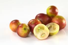 Camu Camu - Inversiones 2A SRL