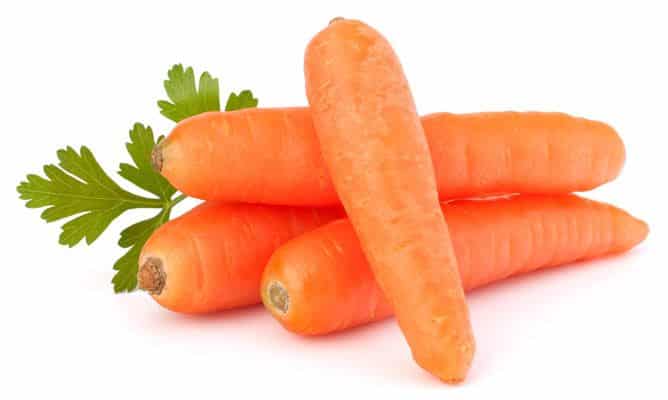 Carrot - Agrícola Asbre, S.A