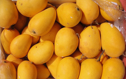 Mango Ataulfo - Integradora de Frutas Finas Soconusco