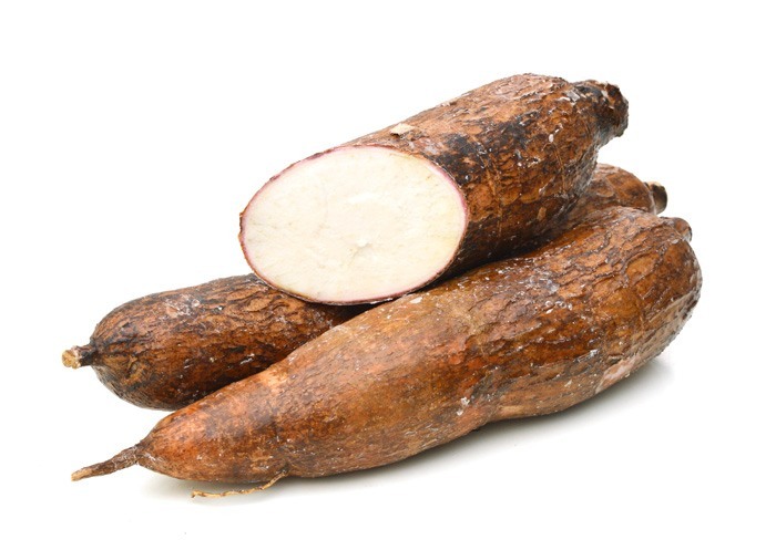 Yuca - Exportadora de Tubérculos de Costa Rica S.R.L