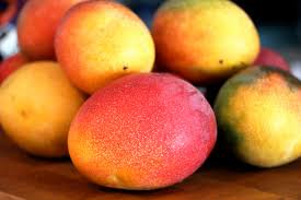 Mango Haden - Integradora de Frutas Finas Soconusco