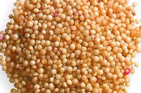 Kiwicha - Proyecto para Mejorar la Competitividad Agropecuaria para Reducir la Pobreza - PRODECO