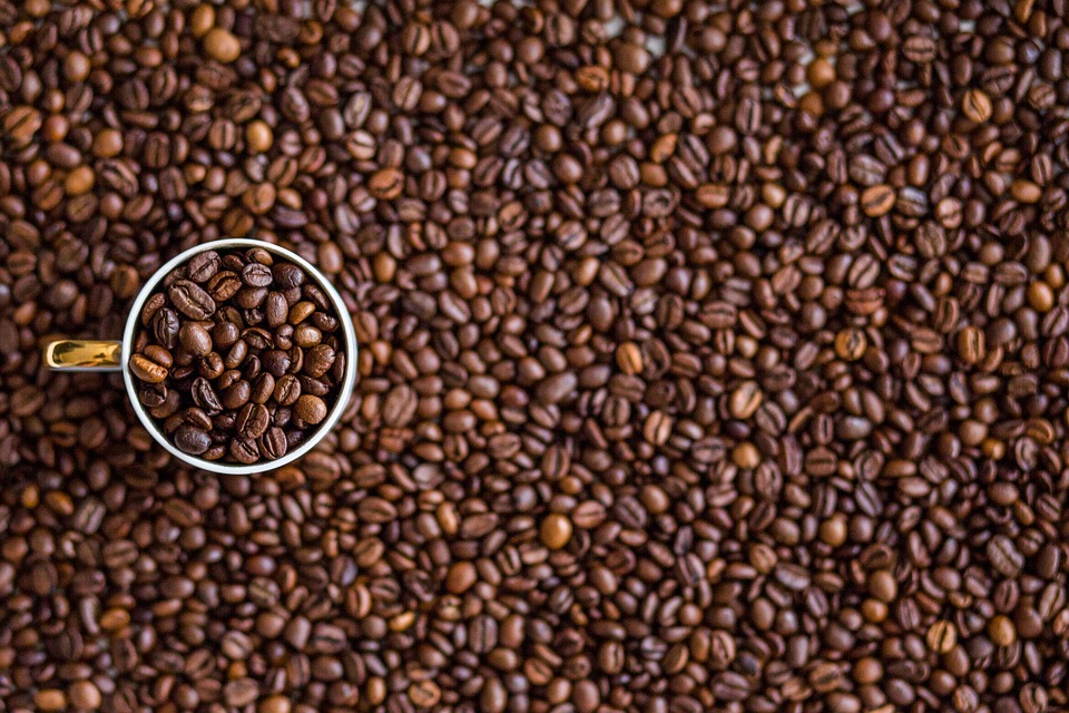 Coffee Toasted - Exportadora de Café Tournon, Ltda