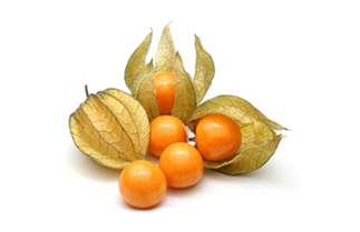 Aguaymanto - ANDEAN ROOTS S.R.L