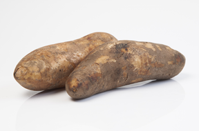 Yacón - ANDEAN ROOTS S.R.L