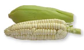 Corn - KUSKI S.R.L