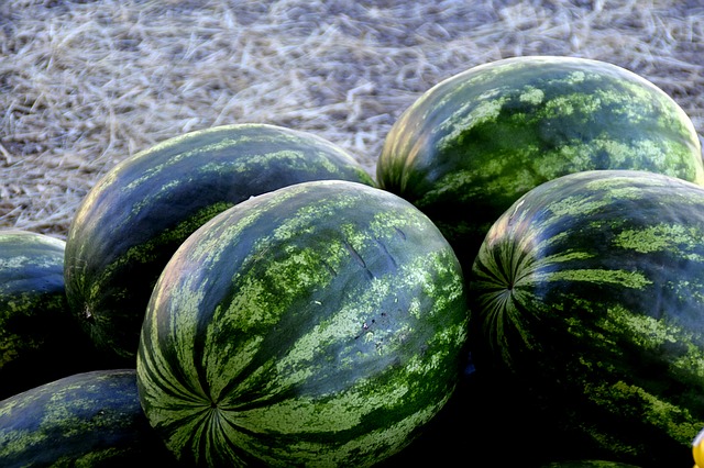 Watermelon - Asociación Local de Productores de Frutas y Hortalizas de la Región de Caborca