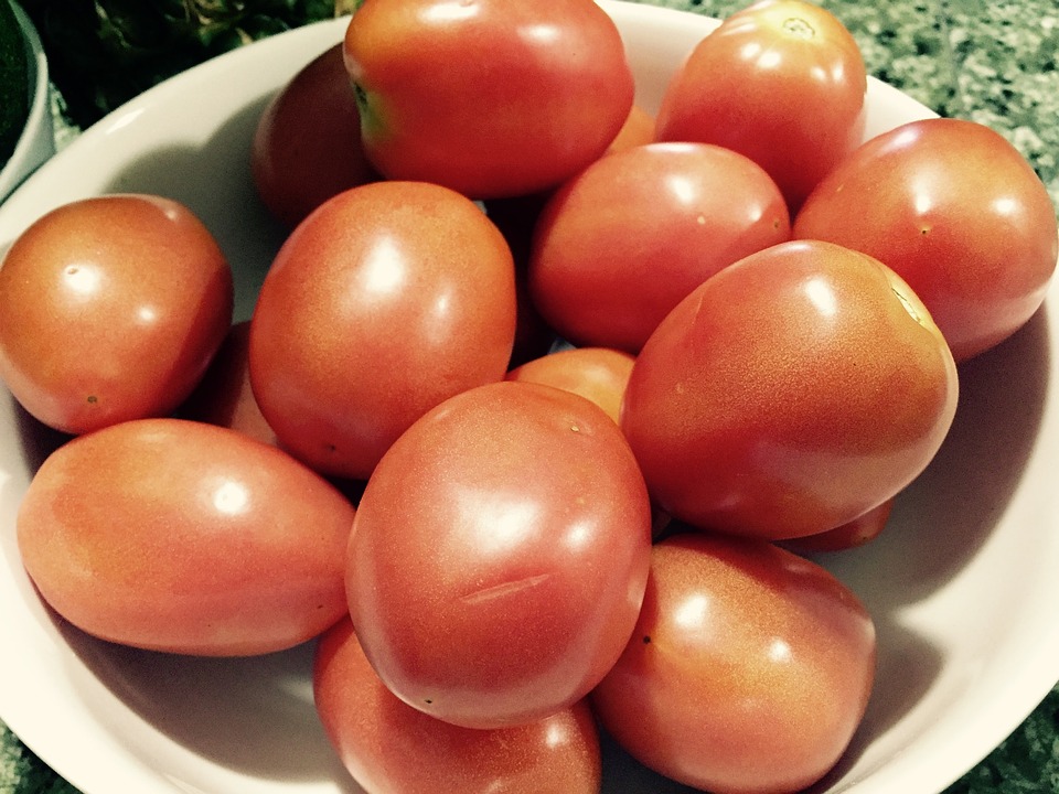 Tomate - Productora Hortícola Alboro Export