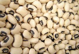 Bean - ARGENCROPS Peru S.A.C