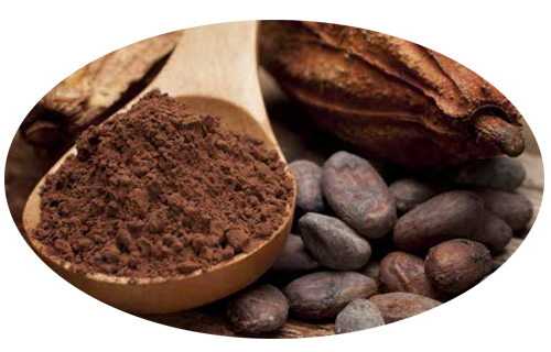 Cacao - Costa Rican Cocoa Products Company S.A