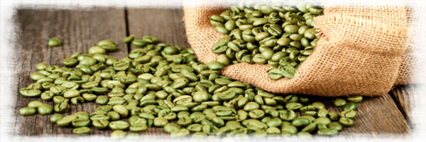 Café - La Pira de Dota / Microbeneficio