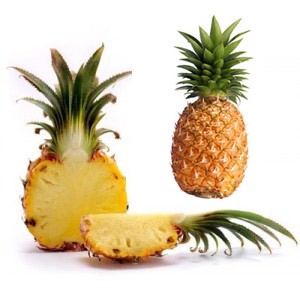Piña - Piña Rica S.A. / Ganadería La Flor