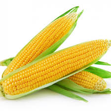 Maíz - S & M Foods S.R.L